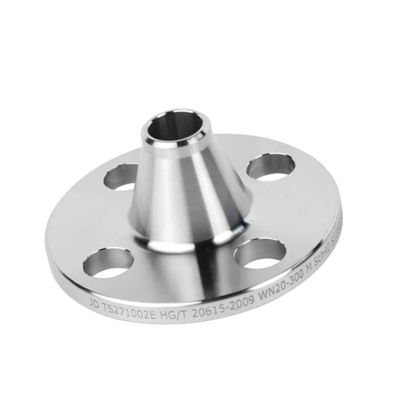 Ss 304L 316L Welding Neck Flange Slip on Flange Stainless Steel Pipe Fittings Flange